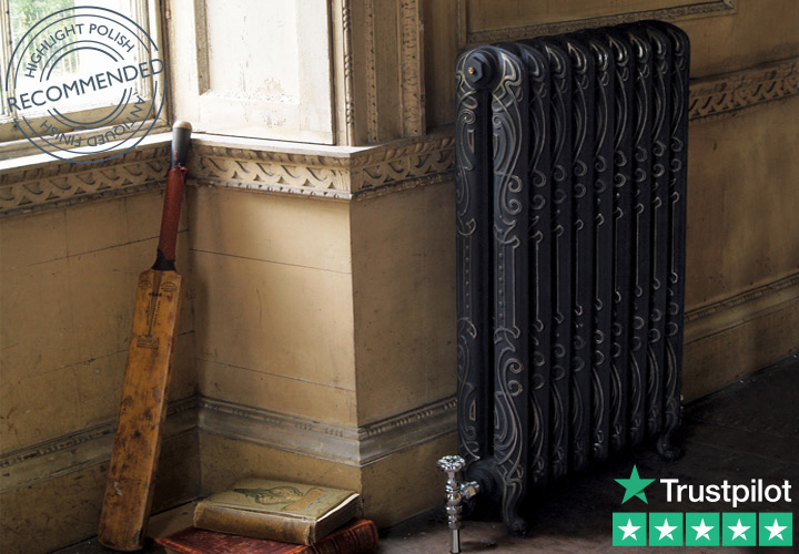 Orleans cast iron radiator in highlight polish