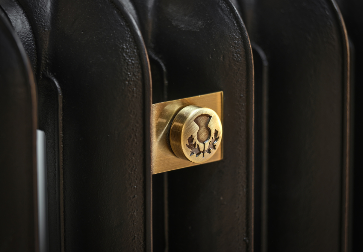 Thistle Antique Brass Wall Stay