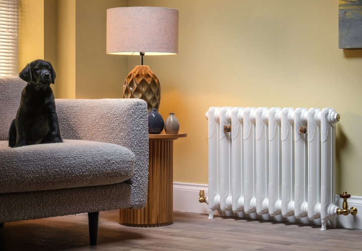 Liberty 1 Column Cast Iron Radiator